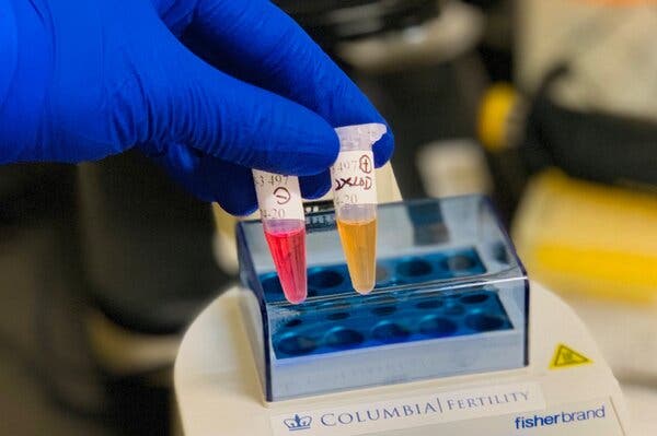 A new rapid test for the coronavirus being developed by Columbia University heats saliva with a mix of chemicals. If the virus is detected, the sample turns yellow.